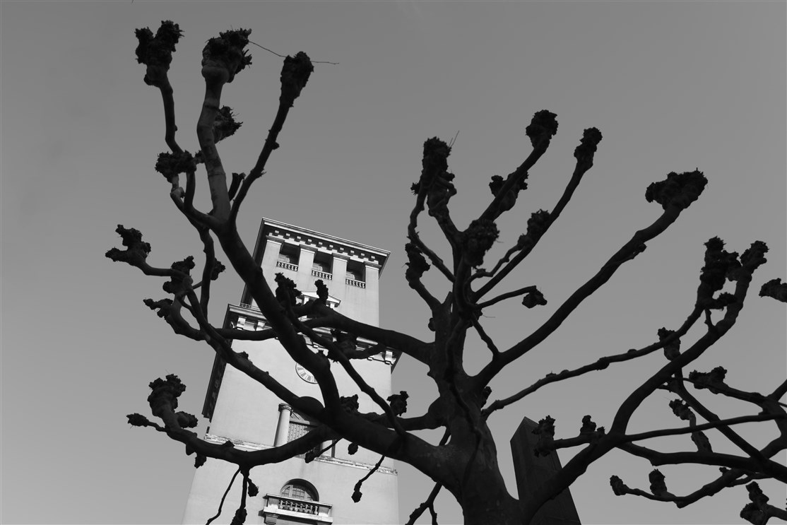 Vor Frue Kirke, København