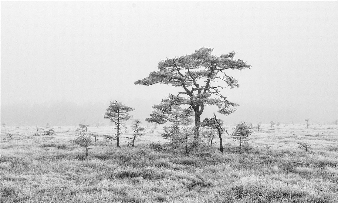 Store Mosse, Sverige