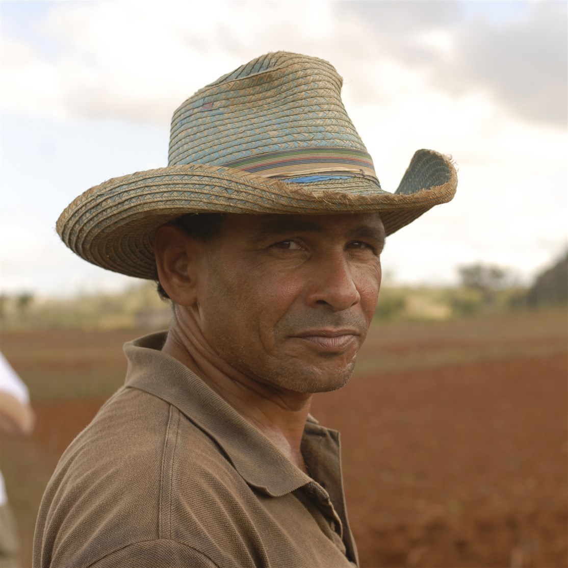 Tobaksbonde, Cuba