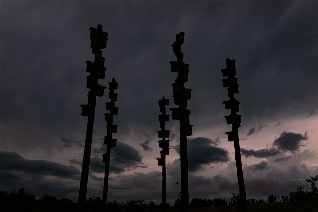 Optræk til regn & blæst